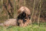 BRIARD 076